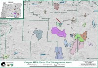 Oregon Wild Horse Herd Management Areas
